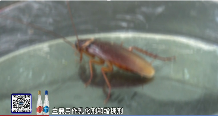 你脸上敷的、嘴里吃的，或含广东大蟑螂！