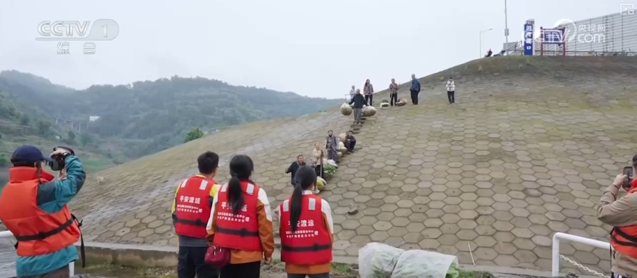 岸线焕新烟火如常 生态底色持续向好