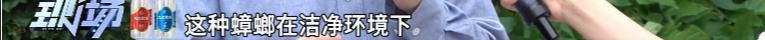 你脸上敷的、嘴里吃的，或含广东大蟑螂！