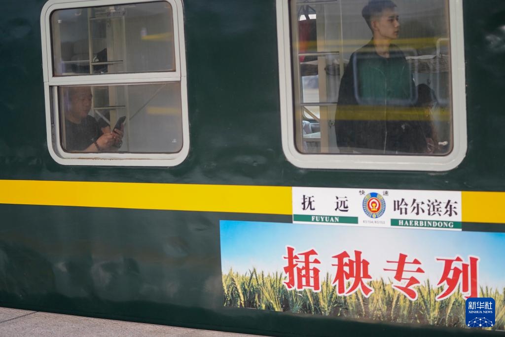 黑龙江：“插秧客”搭乘专列奔赴沃土逐农忙