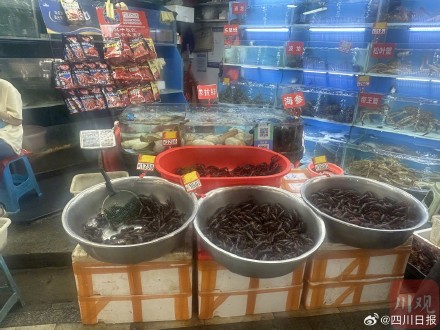 大量上市！成都小龙虾价格大跳水最低8元一斤