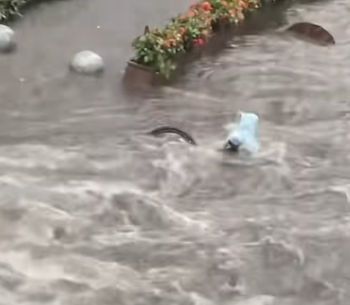 广州突降大暴雨 小孩骑车摔倒险被冲走,5名小哥暴雨中狂奔救人 广州突降大暴雨 小孩骑车摔倒险被冲走,5名小哥暴雨中狂奔救人