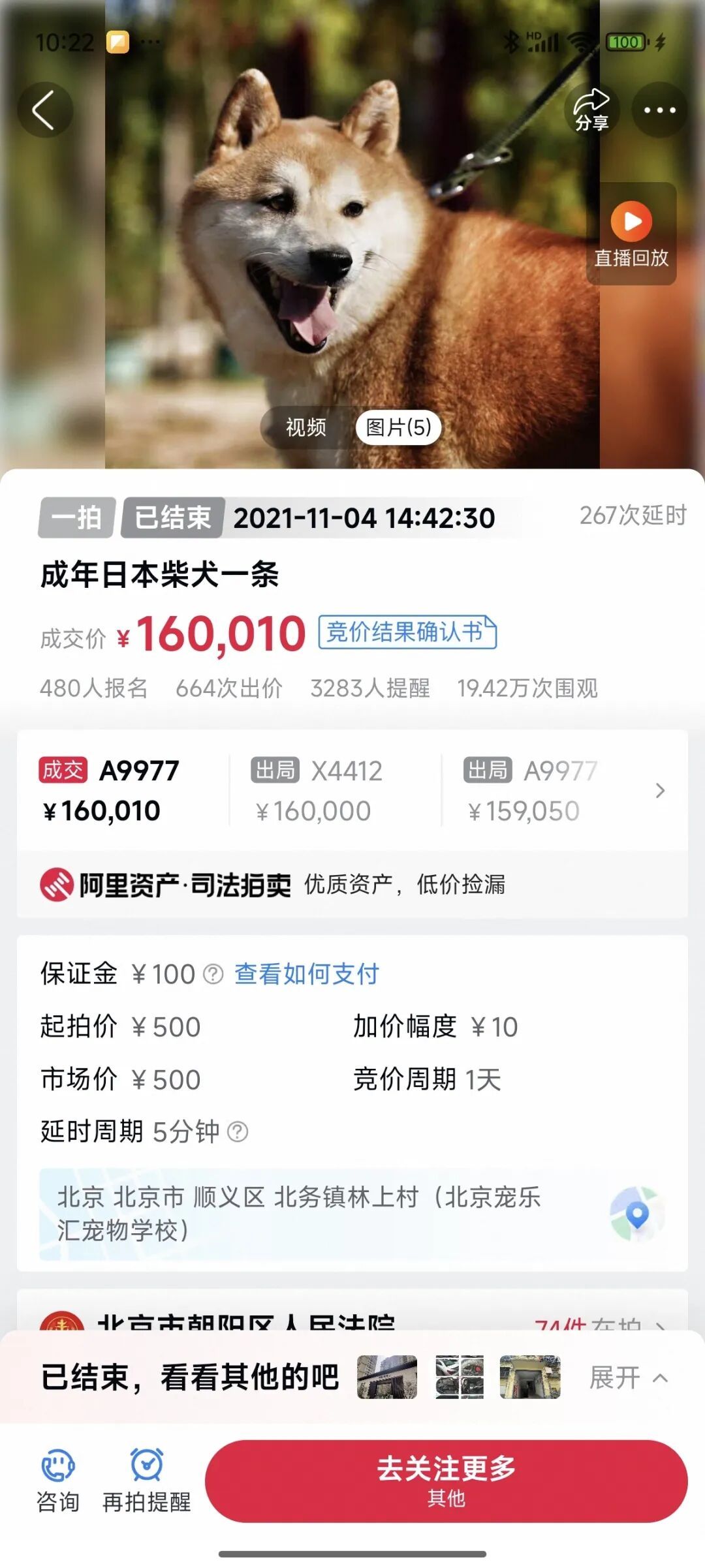 猫咪被拍卖替主人还债、被弃7年柴犬拍出16万天价、还有活体鳄鱼……法拍动物冲上热搜，网友刷屏：太心酸