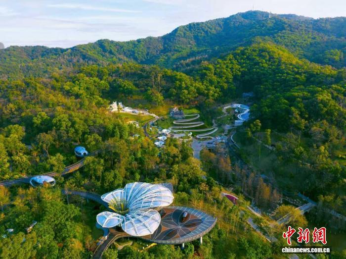 广东迁地保存高等植物15026种 植物园数量全国第一