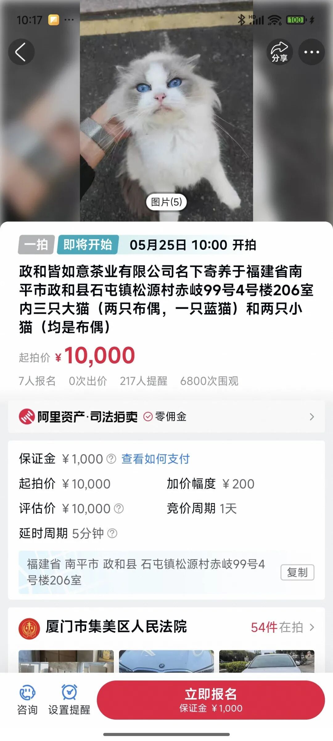 猫咪被拍卖替主人还债、被弃7年柴犬拍出16万天价、还有活体鳄鱼……法拍动物冲上热搜，网友刷屏：太心酸