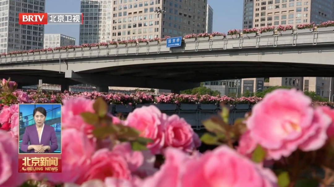 北京：我又多了一条“项链”！