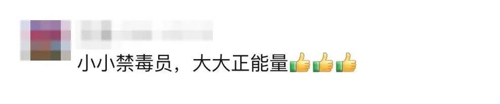 发现有人种罂粟，“小孩哥”果断带警察去“扫毒”！