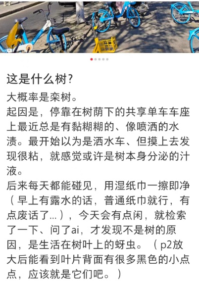 太恶心!上海街头大量出现!地上、车上、鞋上全都黏糊糊的!网友傻眼:根本擦不干净 太恶心!上海街头大量出现!地上、车上、鞋上全都黏糊糊的!网友傻眼:根本擦不干净