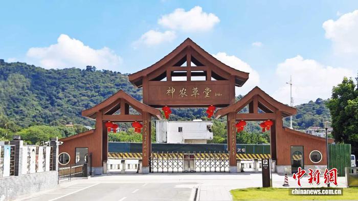广东迁地保存高等植物15026种 植物园数量全国第一