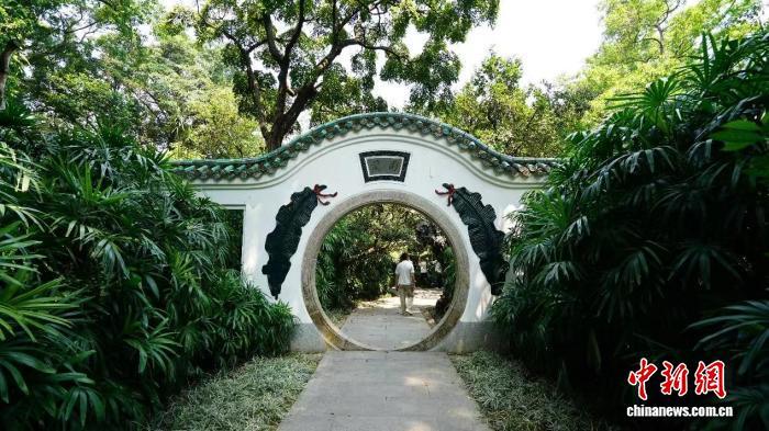 广东迁地保存高等植物15026种 植物园数量全国第一
