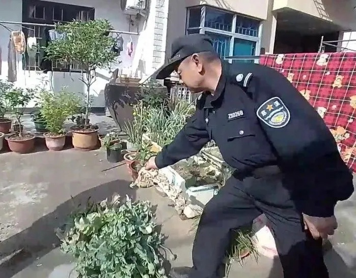 发现有人种罂粟，“小孩哥”果断带警察去“扫毒”！