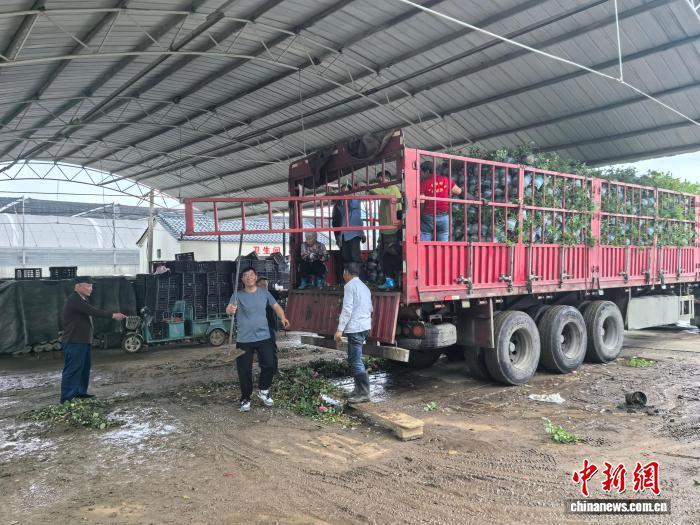 马路牙子“颜值担当”,“科圣”张衡老家一年卖出30亿元 马路牙子“颜值担当”,“科圣”张衡老家一年卖出30亿元