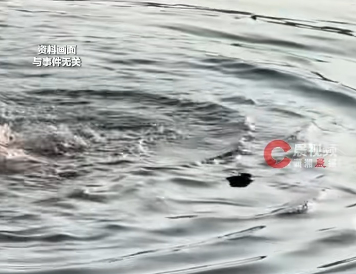 “他救了人，一群人又救了他！”男子救下落水儿童后心脏骤停，妻子发声