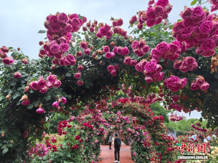 马路牙子“颜值担当”,“科圣”张衡老家一年卖出30亿元 马路牙子“颜值担当”,“科圣”张衡老家一年卖出30亿元