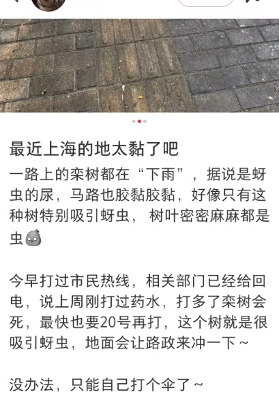 太恶心!上海街头大量出现!地上、车上、鞋上全都黏糊糊的!网友傻眼:根本擦不干净 太恶心!上海街头大量出现!地上、车上、鞋上全都黏糊糊的!网友傻眼:根本擦不干净