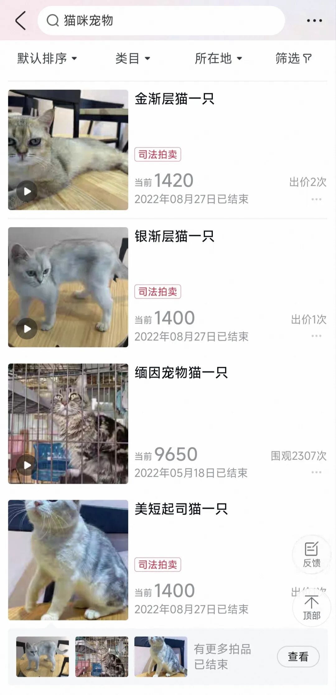 猫咪被拍卖替主人还债、被弃7年柴犬拍出16万天价、还有活体鳄鱼……法拍动物冲上热搜，网友刷屏：太心酸