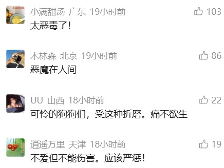 残忍！男子打造"爱狗"人设，数十只小狗骗养后被撕咬！警方刑事立案