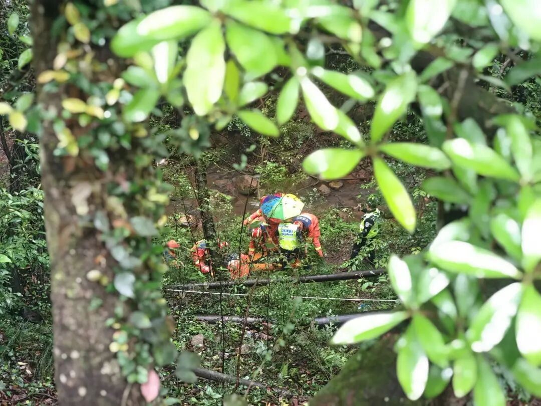 本是惬意的雨中游，下一秒轮椅却带着老人冲下12米山坡？
