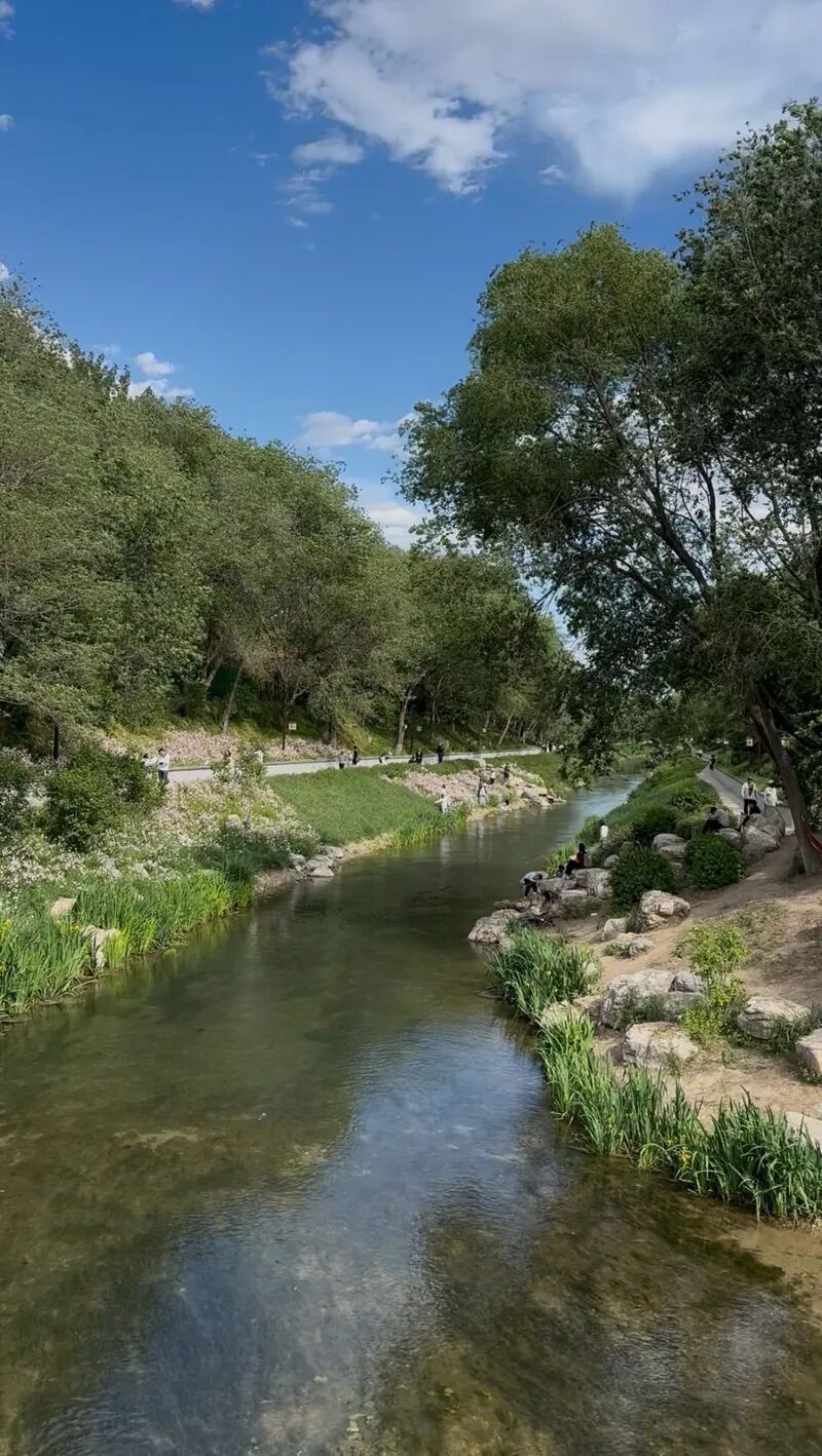 夏日亲水暗藏隐患，防溺水科学施救指南请收好