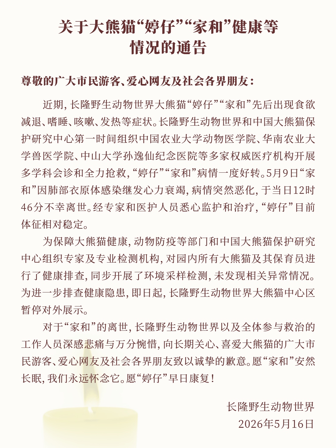 大熊猫“家和”，因病离世