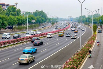 全网刷屏的北京月季花环有多长？