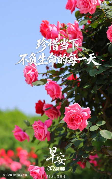 去做想做的事，去爱想爱的人