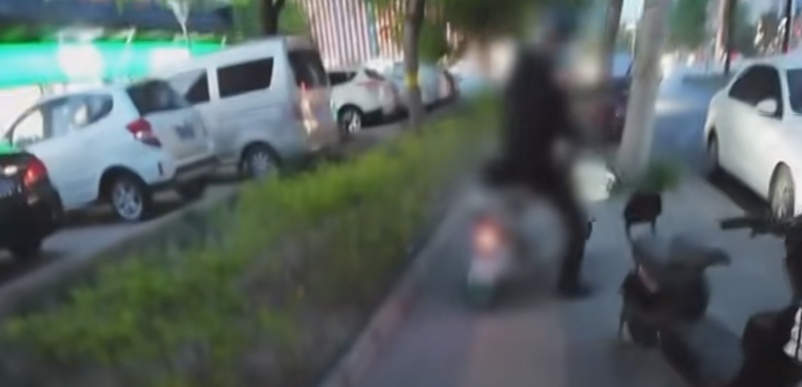 “盲人女孩在盲道被撞”是虚假摆拍，当事人账号“抱抱盲兔”已被禁止关注