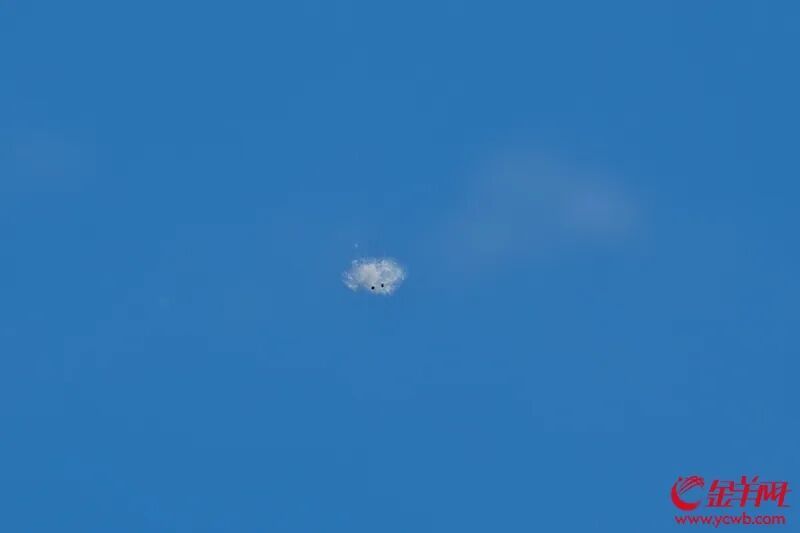 广州今年为何“飞絮”多？ 专家预计下旬会渐渐收场