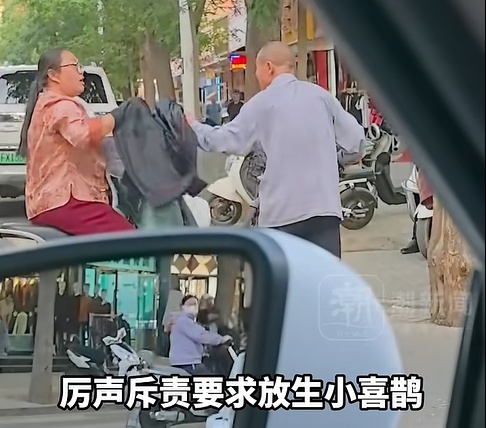 宁夏一老人抓喜鹊幼崽，被鸟爸妈猛啄围攻，过路大姐霸气出手救鸟！林草局：大姐做得对