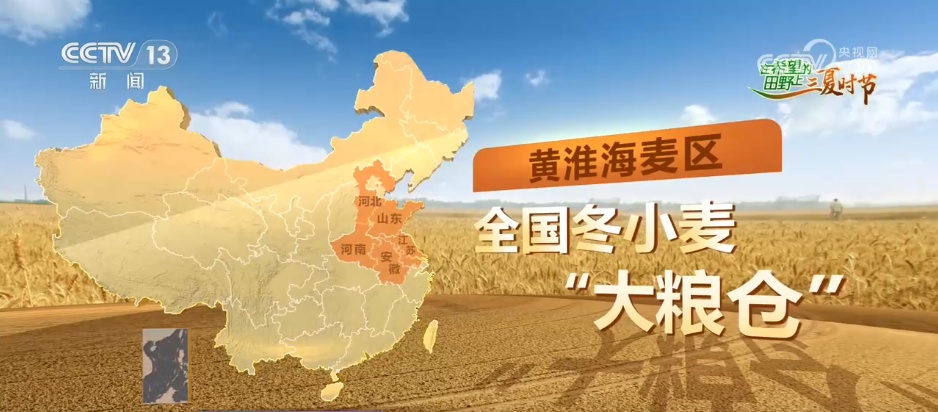 麦穗千重浪、智慧农机忙 各地全力以赴战“三夏”稳粮增收促振兴
