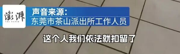 男子疑伪装“爱狗家庭”，骗养20多只狗供其烈犬撕咬，警方发声