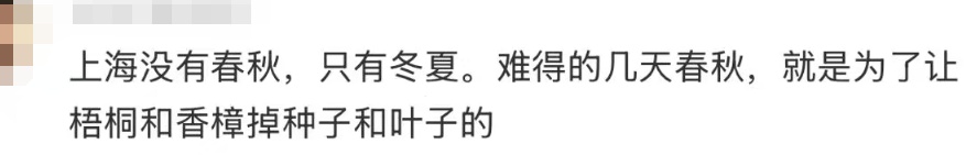 上海正式官宣！提前近半个月，"历史第三早"