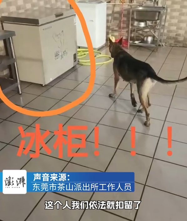 残忍！男子打造"爱狗"人设，数十只小狗骗养后被撕咬！警方刑事立案