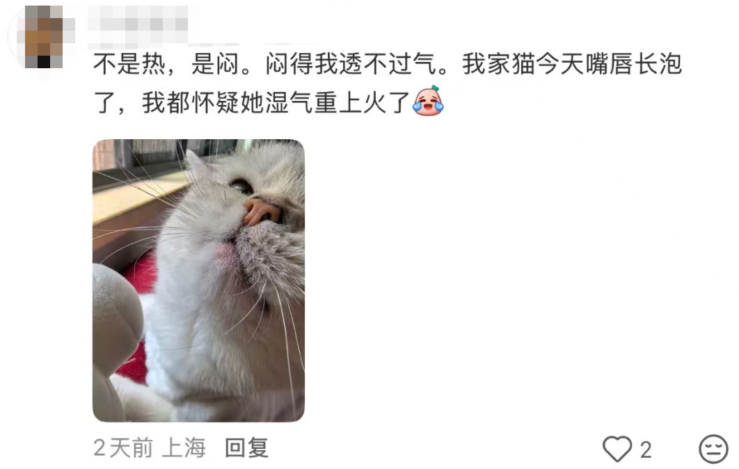 上海正式官宣！提前近半个月，"历史第三早"