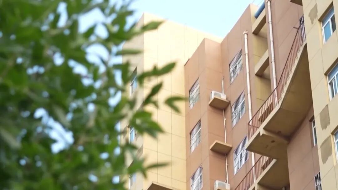 断供后集体失联！22人“组团”骗贷，幕后黑手是谁？