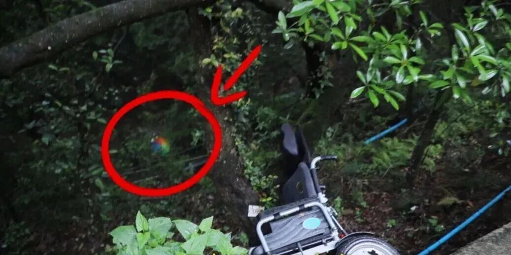 本是惬意的雨中游，下一秒轮椅却带着老人冲下12米山坡？