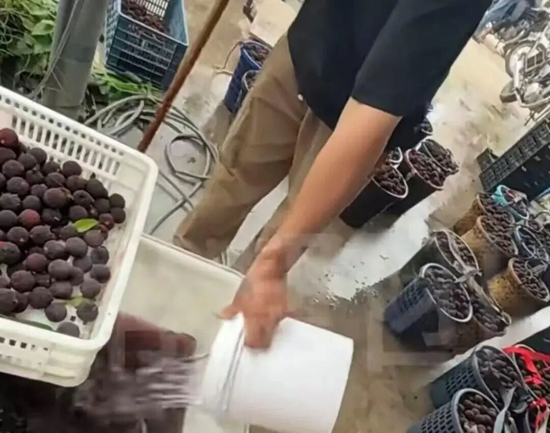 正大量上市,一地被曝违规添加防腐剂!已销往江浙沪…医生警告:或损伤神经、肝肾 正大量上市,一地被曝违规添加防腐剂!已销往江浙沪…医生警告:或损伤神经、肝肾