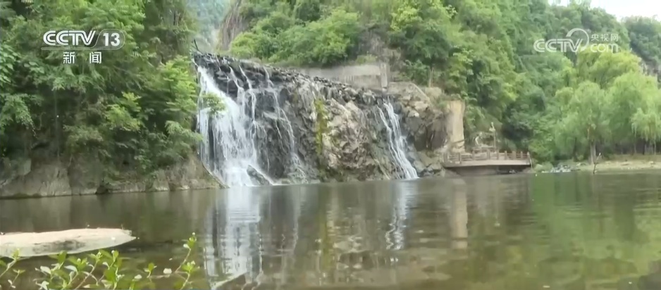 “水中大熊猫”桃花水母现身景区水域 水源地生态治理成效获“活化石”印证
