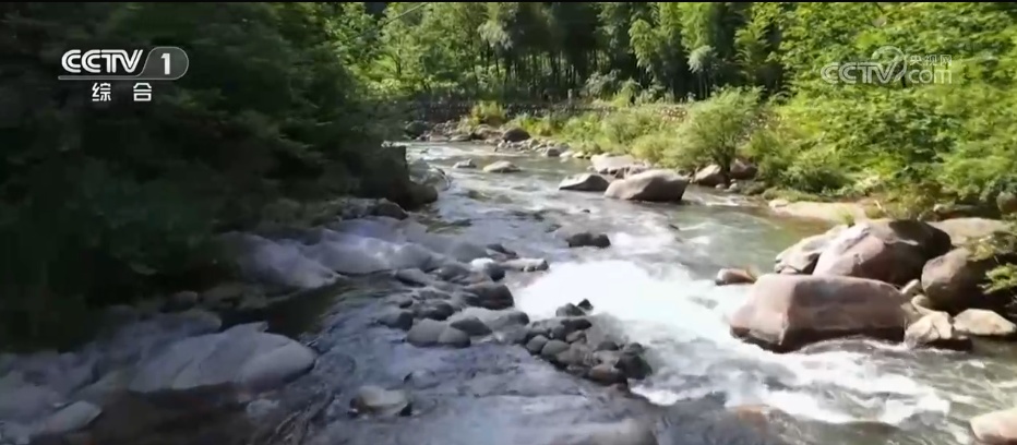 汛期户外游玩遭遇意外落水或急流怎么办?了解这些自救方法很重要 汛期户外游玩遭遇意外落水或急流怎么办?了解这些自救方法很重要