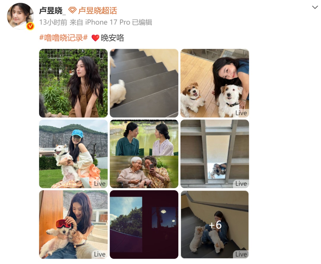 热搜第一!知名女演员卢昱晓给《给阿嬷的情书》道歉:伤害了电影创作者的心血,无论初衷如何,我的行为都是不当的 热搜第一!知名女演员卢昱晓给《给阿嬷的情书》道歉:伤害了电影创作者的心血,无论初衷如何,我的行为都是不当的