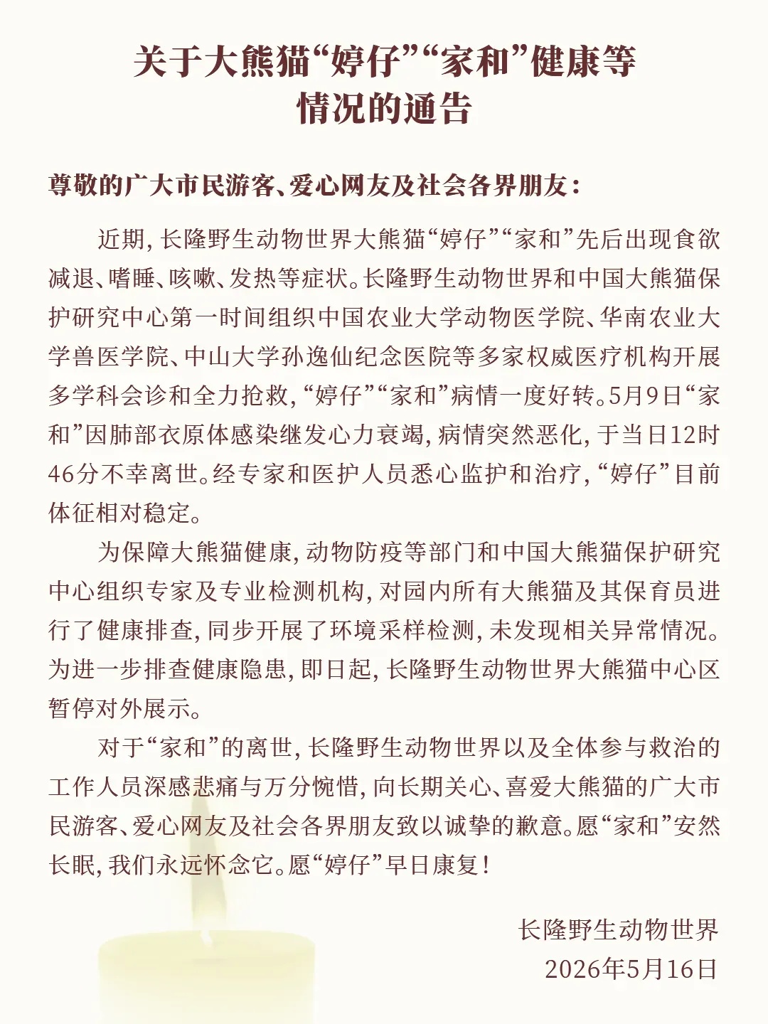 长隆通报熊猫健康情况
