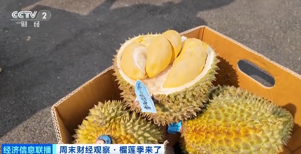 榴莲大降价，一斤只要20多元！