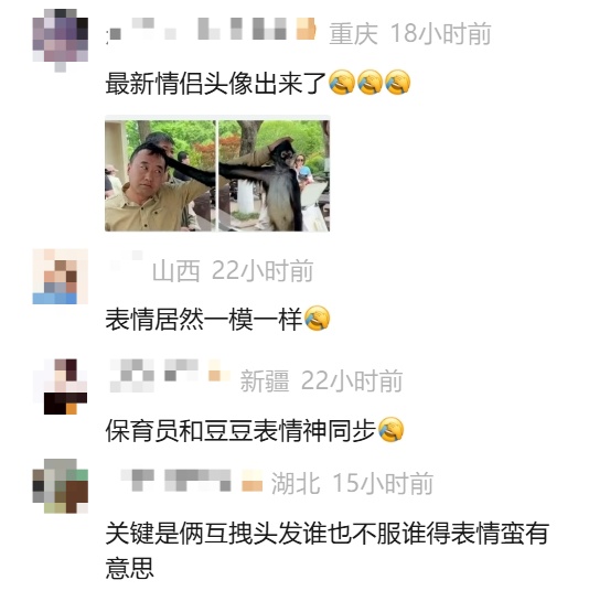 上海蜘蛛猴与饲养员互薅头发走红,被网友评为“2026最佳CP” 上海蜘蛛猴与饲养员互薅头发走红,被网友评为“2026最佳CP”