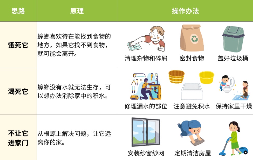 你脸上敷的、嘴里吃的，或含广东大蟑螂！