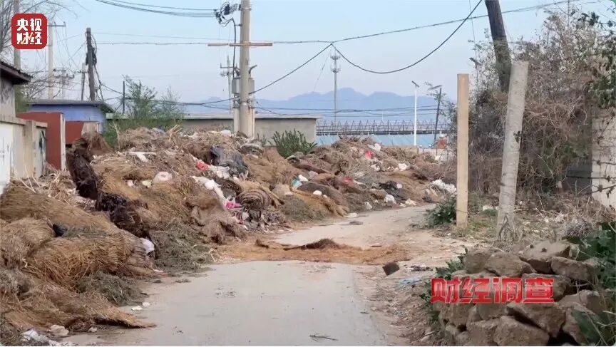 河道发黑发臭！各类垃圾、医疗废弃物露天堆放，多地农村垃圾乱象触目惊心→