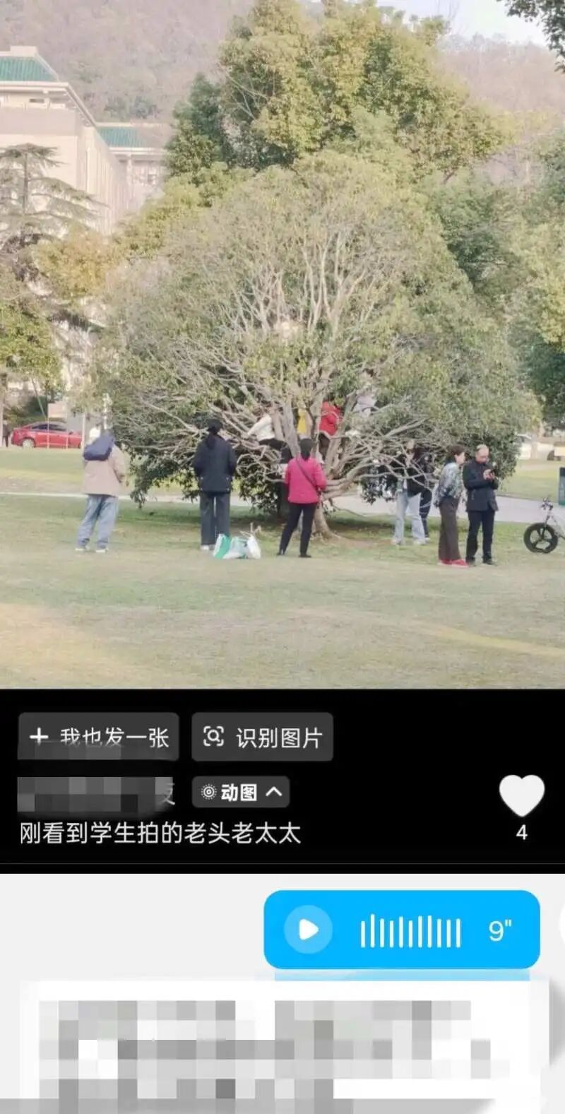 武大取消预约入校后食堂爆满，有游客爬树拍照，博主直播学生上体育课？校方回应