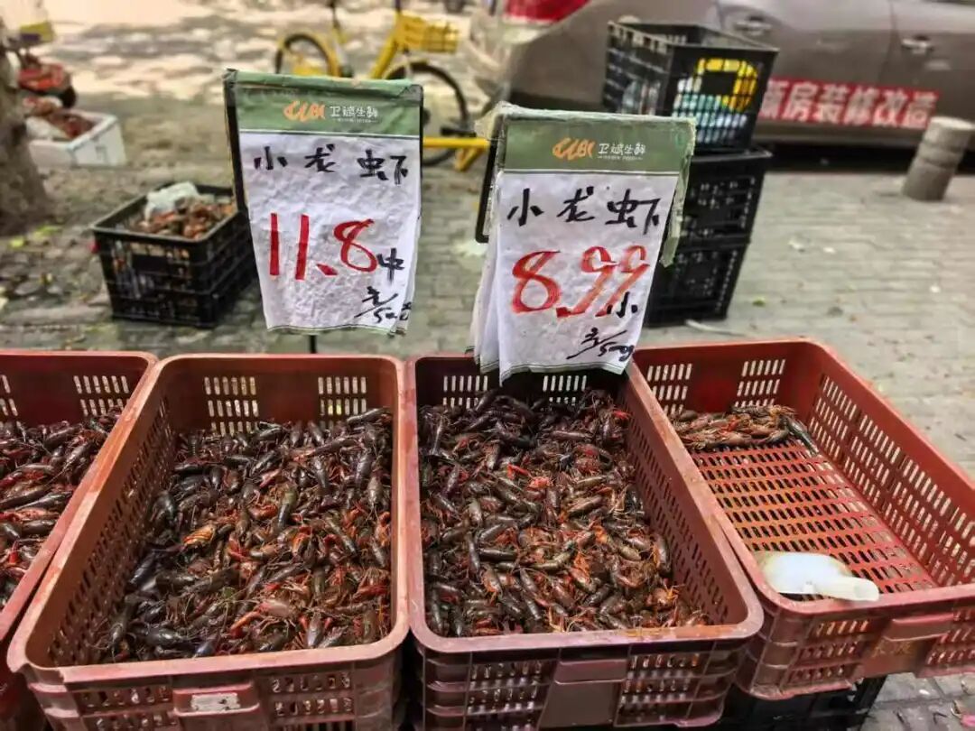 8元一斤，武汉小龙虾大降价，比白豆角还便宜，“目前价格还未触底”