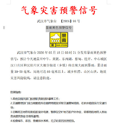武汉整夜降雨不停歇,直击早高峰 武汉整夜降雨不停歇,直击早高峰