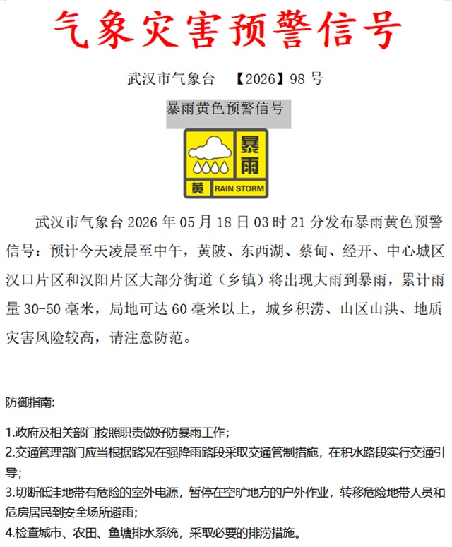 雨下了一夜,今早的武汉是这样的……交警提醒:早高峰出行注意安全 雨下了一夜,今早的武汉是这样的……交警提醒:早高峰出行注意安全