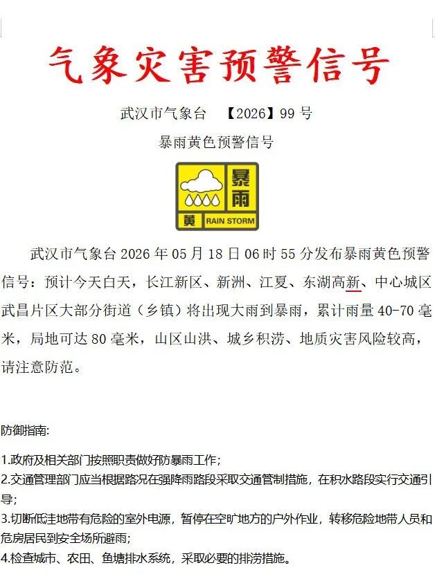 雨下了一夜,今早的武汉是这样的……交警提醒:早高峰出行注意安全 雨下了一夜,今早的武汉是这样的……交警提醒:早高峰出行注意安全